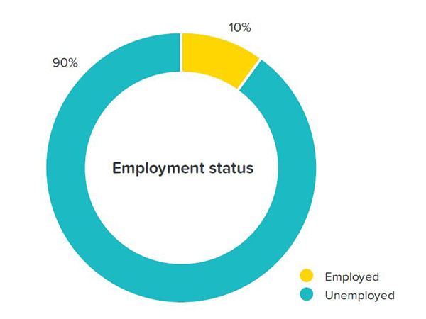 Employment status of our customers